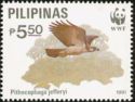 Philippine Eagle (Pithecophaga jefferyi)